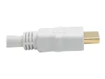 Eaton Tripplite-P568-025-WH