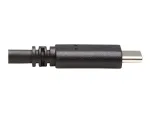 Eaton Tripplite-U422-20N-G2