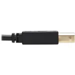 Eaton Tripplite-P782-006-HA