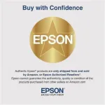 EPSON-S450234
