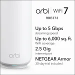 NETGEAR-RBE373-100NAS