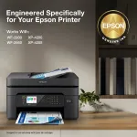EPSON-EPST232220-S