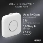 NETGEAR-WBE710-100NAS