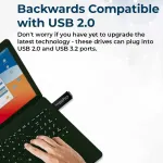 CENTON-S1-U3P6-256G-10B