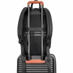 Parfums Des Champs-OB-410-BLACK