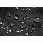 Parfums Des Champs-TB-1011-BLACK