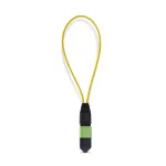 STARTECH-LOOPBACKMTP12OS2SMF