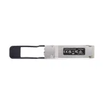 STARTECH-LOOPBACKPLUG100G