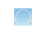 Panduit-UTPSP10Y