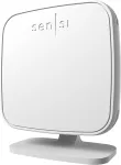 Emerson-RS01-SG