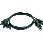 SMARTAVI-CC2DPMMKVM06