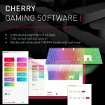 Cherry-G80-3874HYAUS-0