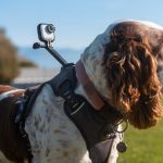 Insta360-CINSBAVW-01