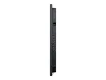 DELL-DELL-P7525QT