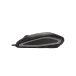 Cherry-JM-0310-2