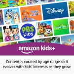 Amazon-B0D1DV6G2N