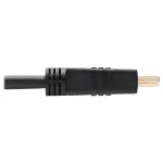 Eaton Tripplite-P569-010