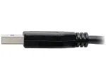Eaton Tripplite-U428-006