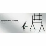 Sylvox TV-S50MCMA0
