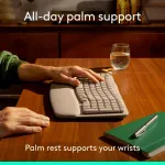 Logitech-920-013925