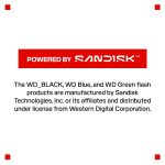 Western Digital-WDS100T1X0M