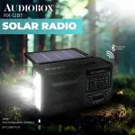 AUDIOBOX-RX-12BT
