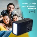 AUDIOBOX-RX-12BT