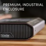GDRIVE-SDPHF1A-024T-NBAAD