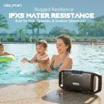 DOLPHIN AUDIO-S100