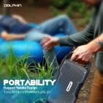 DOLPHIN AUDIO-S100