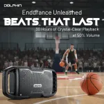 DOLPHIN AUDIO-S100