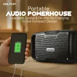 DOLPHIN AUDIO-S100