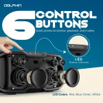 DOLPHIN AUDIO-S100