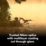 Nikon-16810