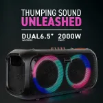 DOLPHIN AUDIO-SP-2600RBT