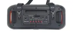 DOLPHIN AUDIO-SP-2600RBT