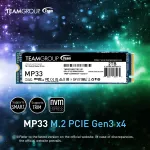 Team Group Inc-TM8FP6002T0C101