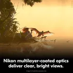 Nikon-16811
