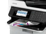 EPSON-C11CK23201