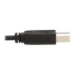 Eaton Tripplite-P783-006-DP