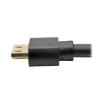 Eaton Tripplite-P586-010-HD-V2A