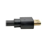 Eaton Tripplite-P586-010-HD-V2A