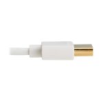 Eaton Tripplite-P569-010-SLIM-W