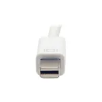 Eaton Tripplite-P137-06N-VGA