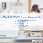 Brother-BRT LC3017C