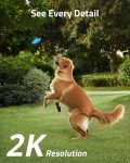eufy-T81241W1
