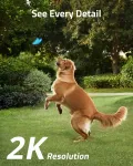 eufy-T81241W1