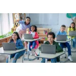 MAX CASES-ASESF31204CCL