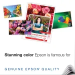 EPSON-S041069-L