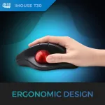 ADESSO INNOVATION INC-IMOUSE T30